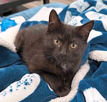 Photo of Betty