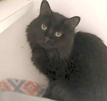 Photo of Phantom