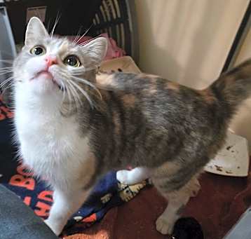 Photo of Peaches