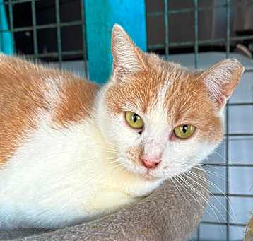 Photo of Geri