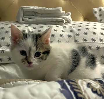 Photo of Lucy