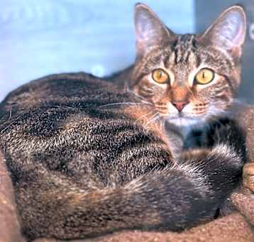 Photo of Mateo