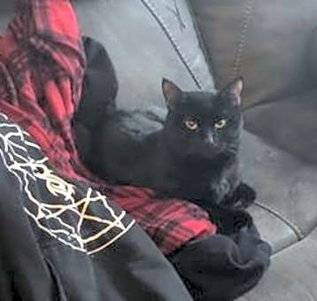 Photo of Finnley*