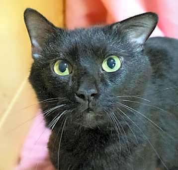 Photo of Jasper