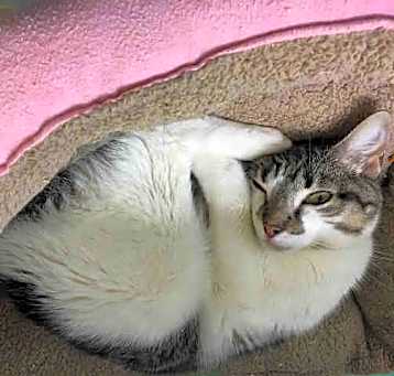 Photo of PENELOPE