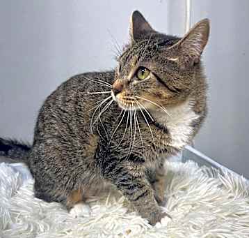 Photo of Angel