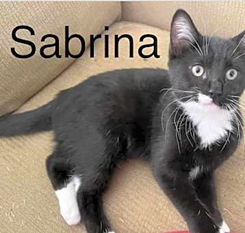 Photo of Sabrina