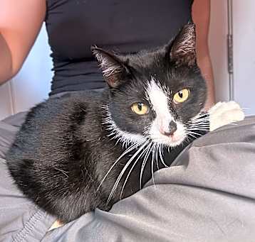 Photo of Peggy