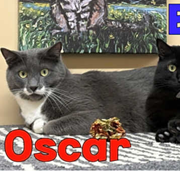 Photo of Oscar