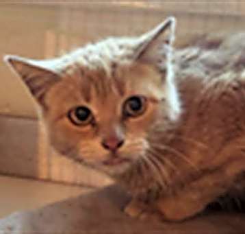 Photo of COLBY