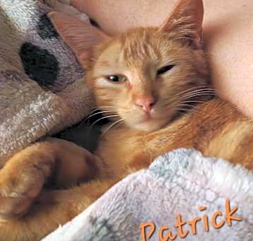 Photo of Patrick