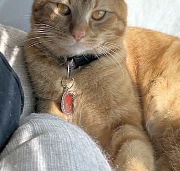 Photo of Sanji