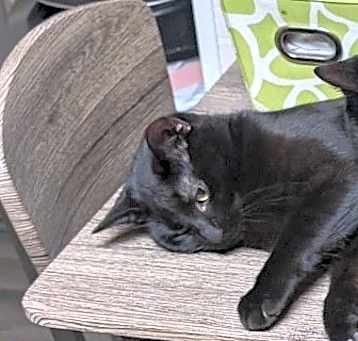 Photo of ITSY