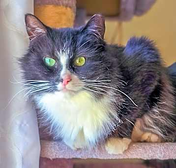 Photo of Clara