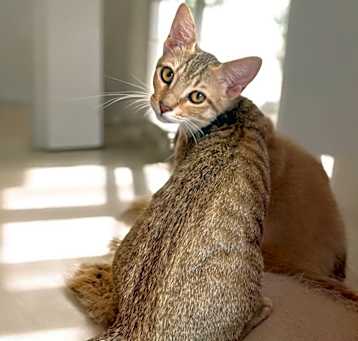 Photo of Dharma