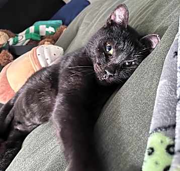 Photo of Mavis