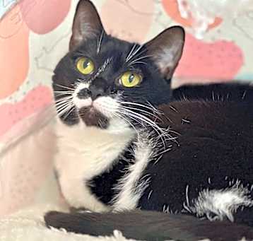 Photo of Olive (fka Peaches)