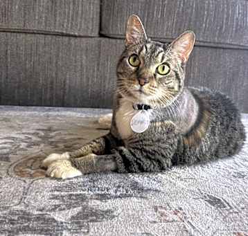 Photo of Bertha