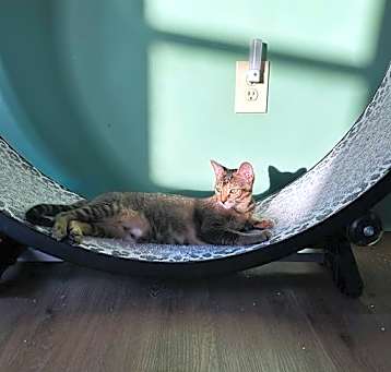 Photo of Libby