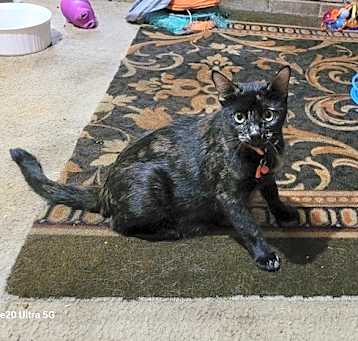 Photo of Patches