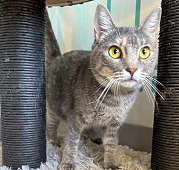 Photo of Britches