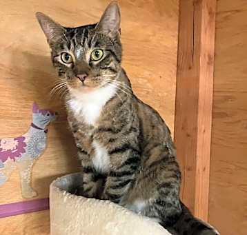 Photo of Reginald