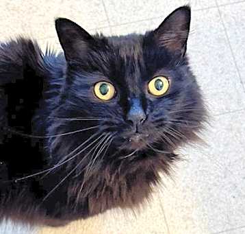 Photo of Sweet Caroline
