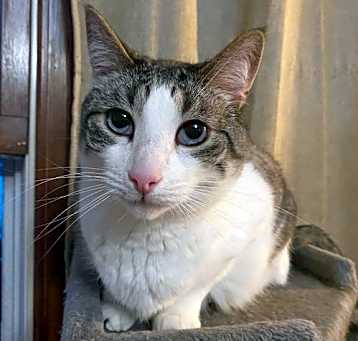 Photo of Muchu