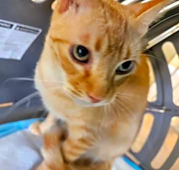 Photo of DJ