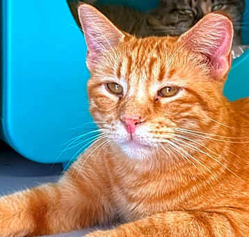 Photo of Bingo