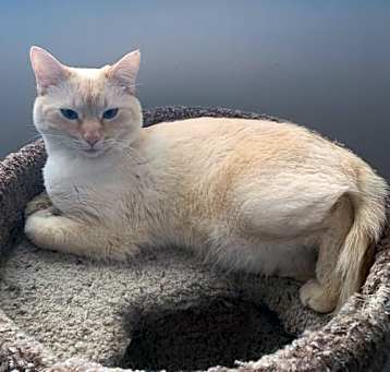 Photo of Torchy