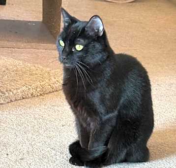Photo of Lorna