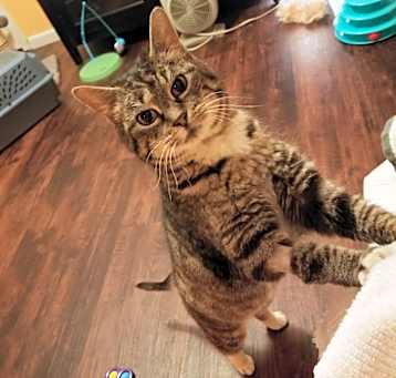 Photo of Boots (and Caesar)