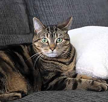 Photo of kiki