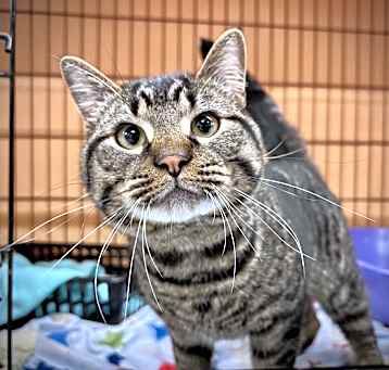 Photo of Tasha