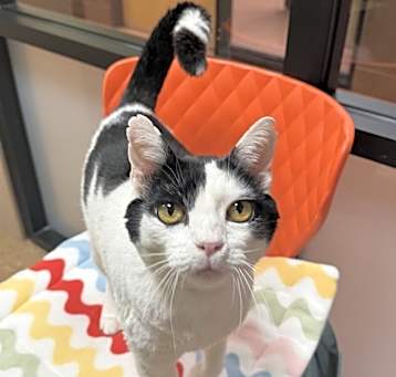 Photo of Jasper