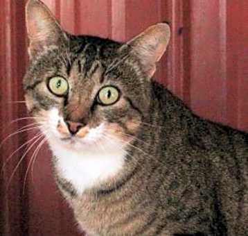 Photo of Georgie