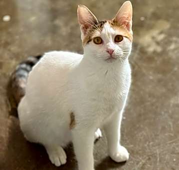 Photo of Mystic