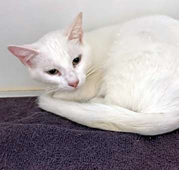Photo of Heide