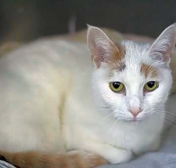 Photo of Princess
