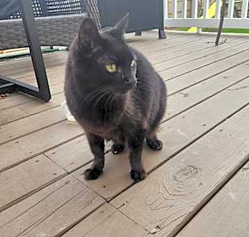 Photo of Sookie