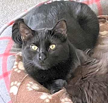 Photo of Itzzy