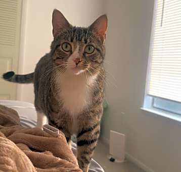 Photo of Willow