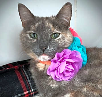 Photo of Ruthie