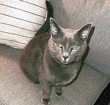 Photo of MoMo