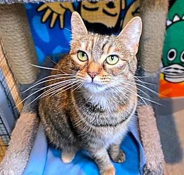 Photo of Smalls
