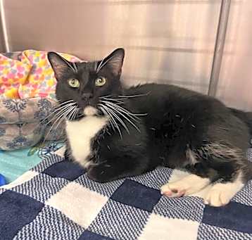 Photo of Bootsie