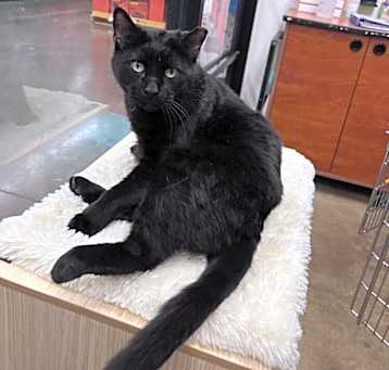 Photo of Big Boy