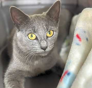 Photo of Missy