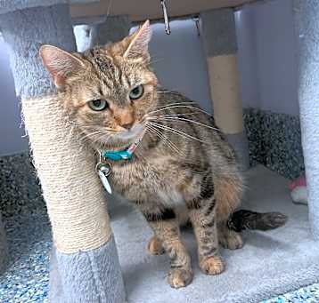 Photo of Tammie